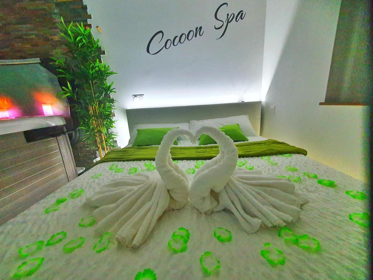 -Gite Cocoon Spa-Jacuzzi-Jardin-Parking Prive-Climatisation Holtzwihr Eksteriør billede